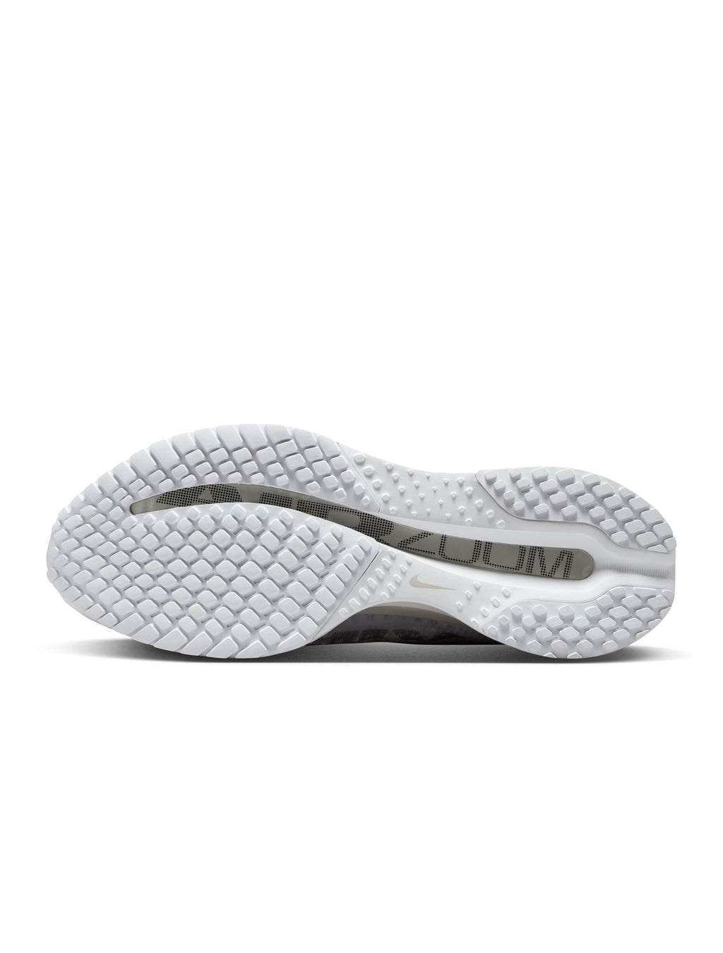 Nike Mens Pegasus Premium - White/Metallic Silver