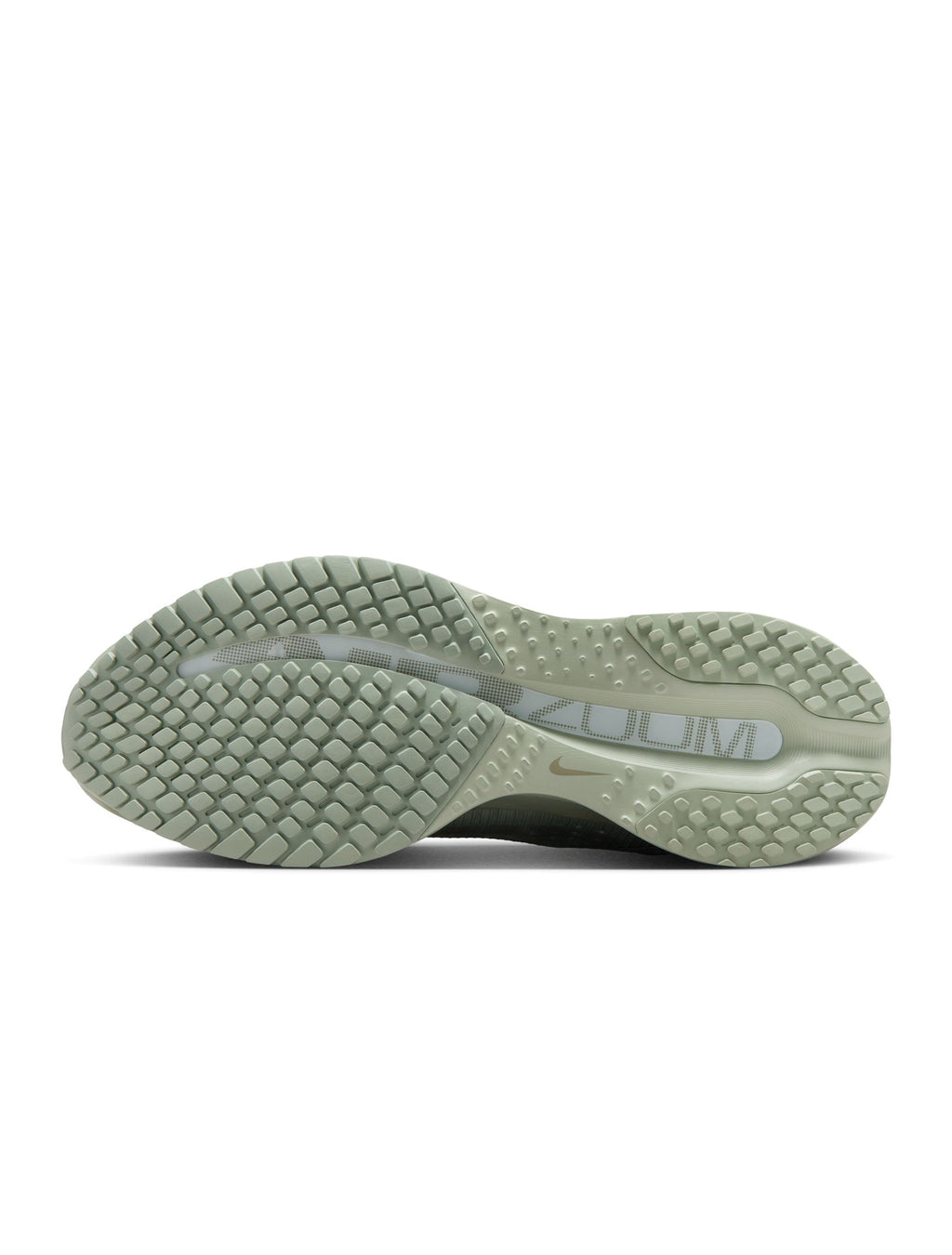 Nike Mens Pegasus Premium - Jade Horizon