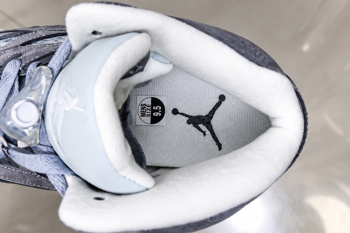 Air Jordan 5 Retro Wolf Grey product photo 17